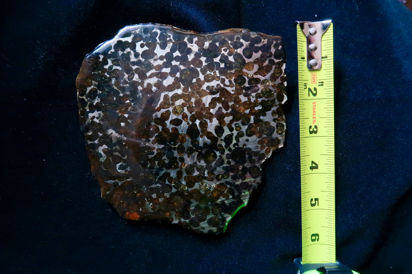 Sericho Pallasite Meteorite Slice