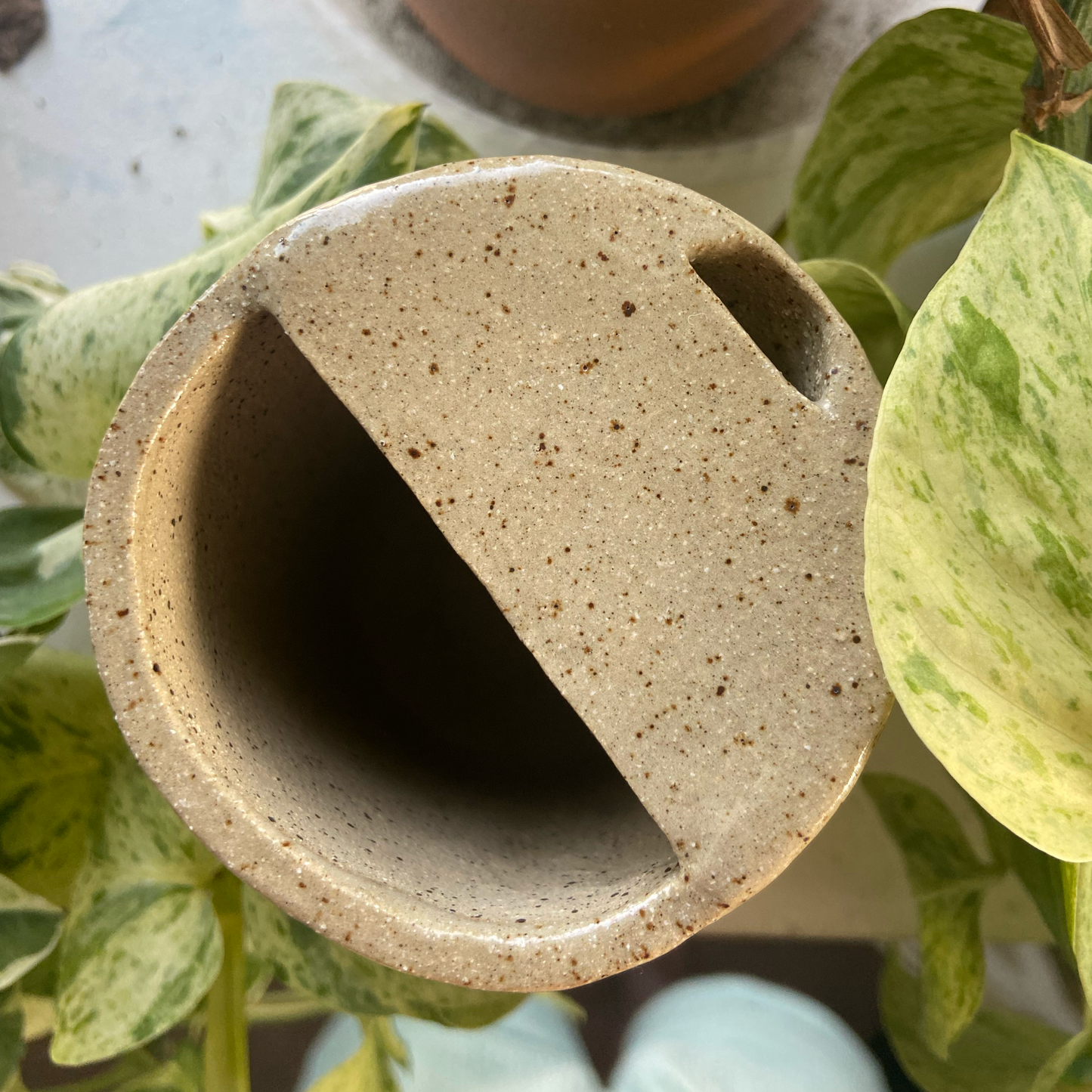 Hand-building botanical mug workshop