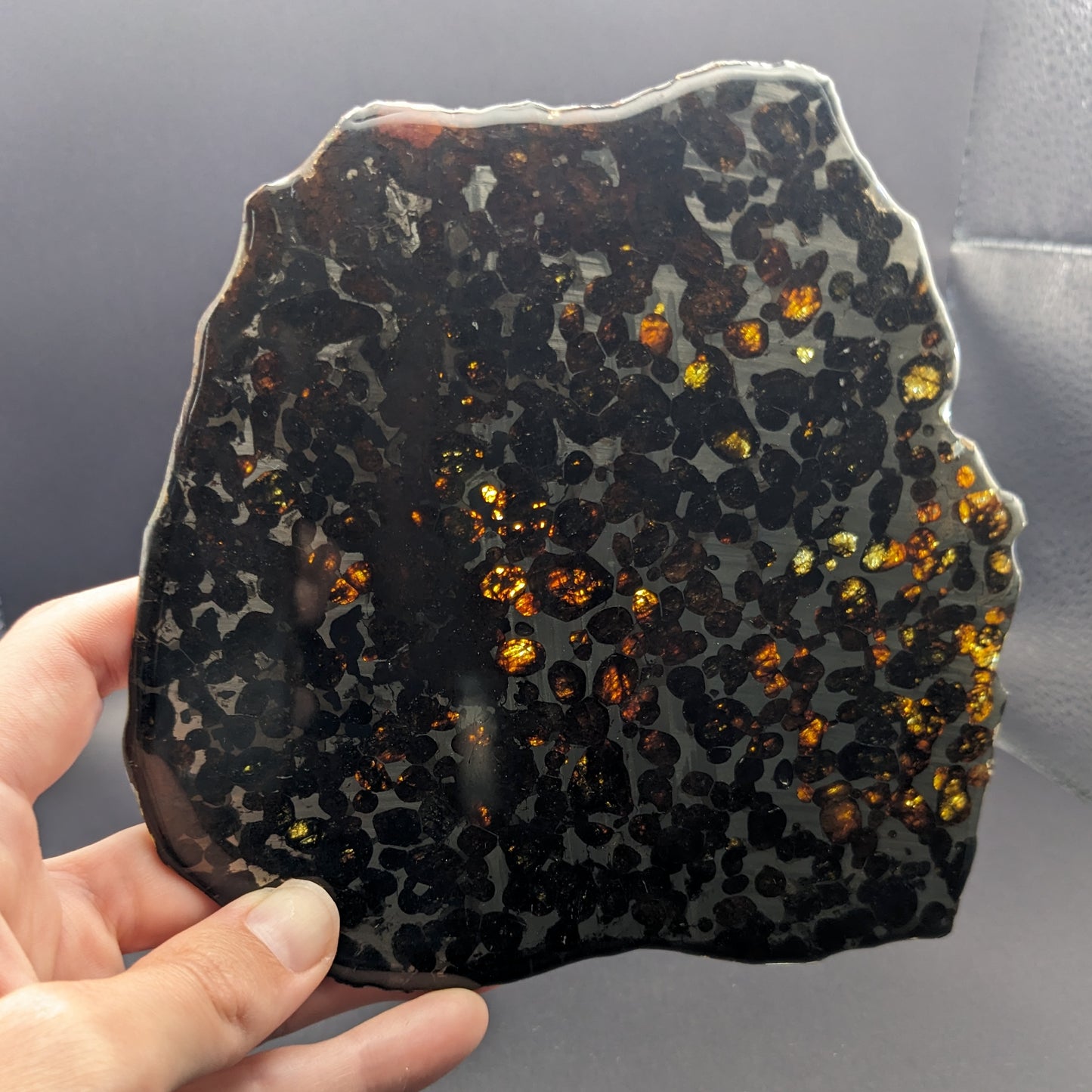 Sericho Pallasite Meteorite Slice