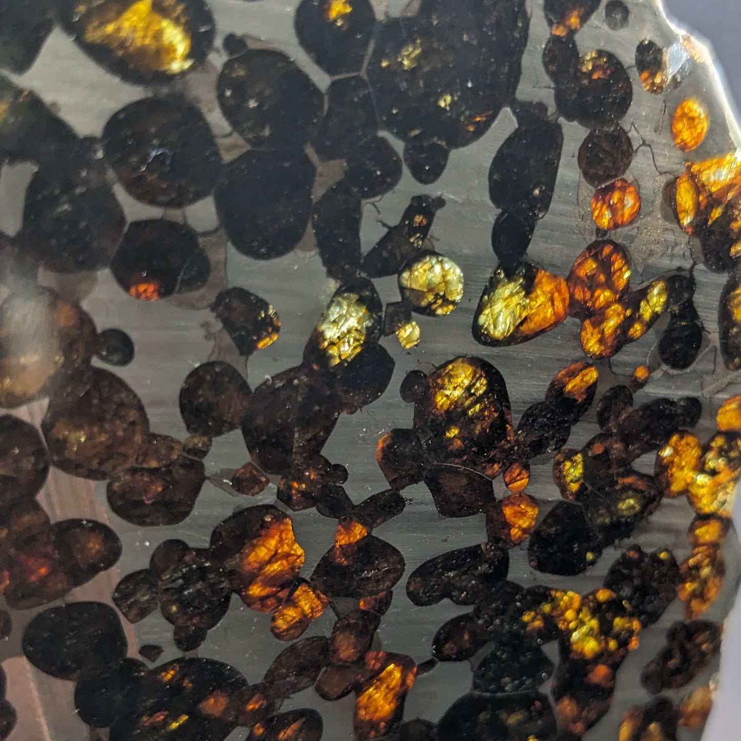 Sericho Pallasite Meteorite Slice