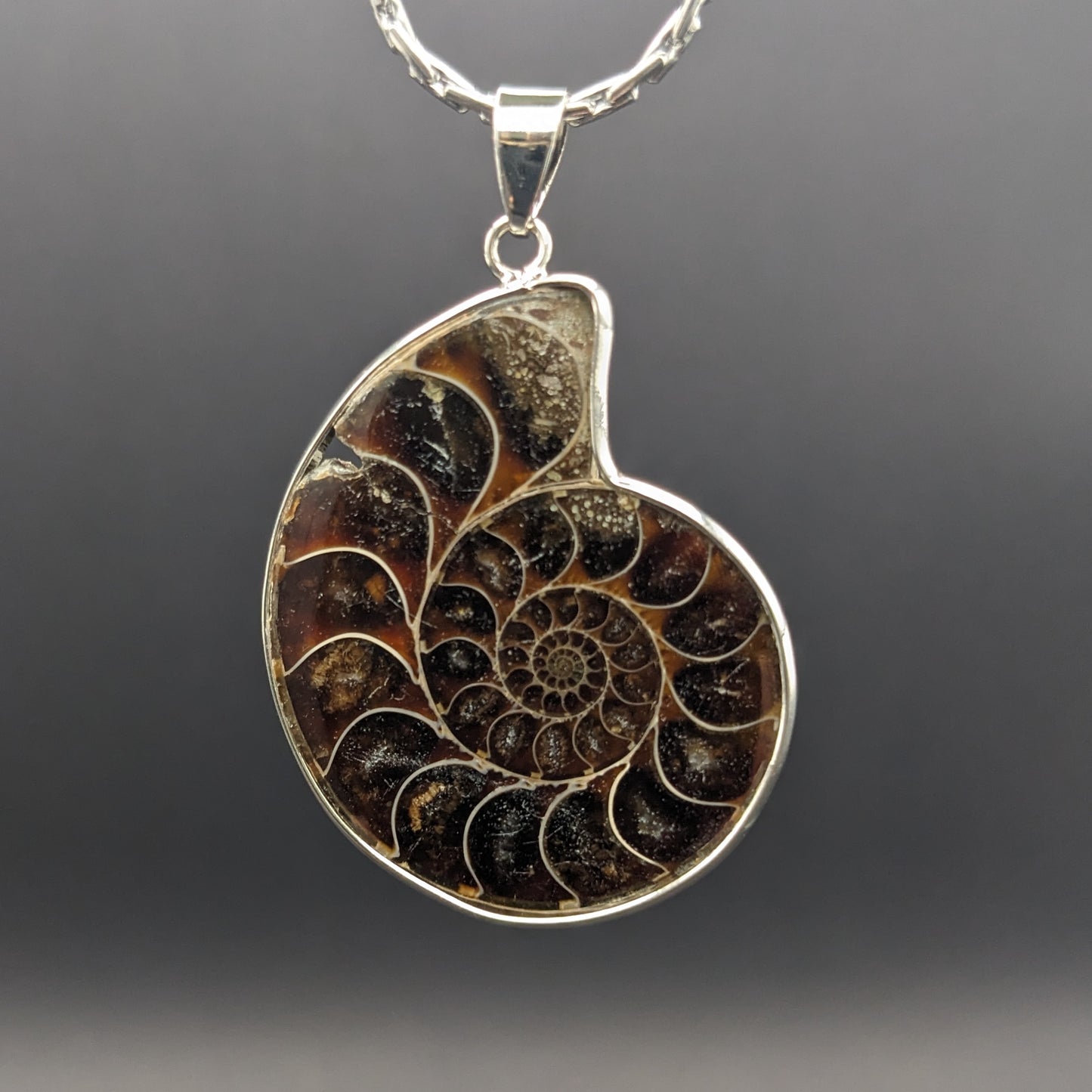 Ammonite Pendant