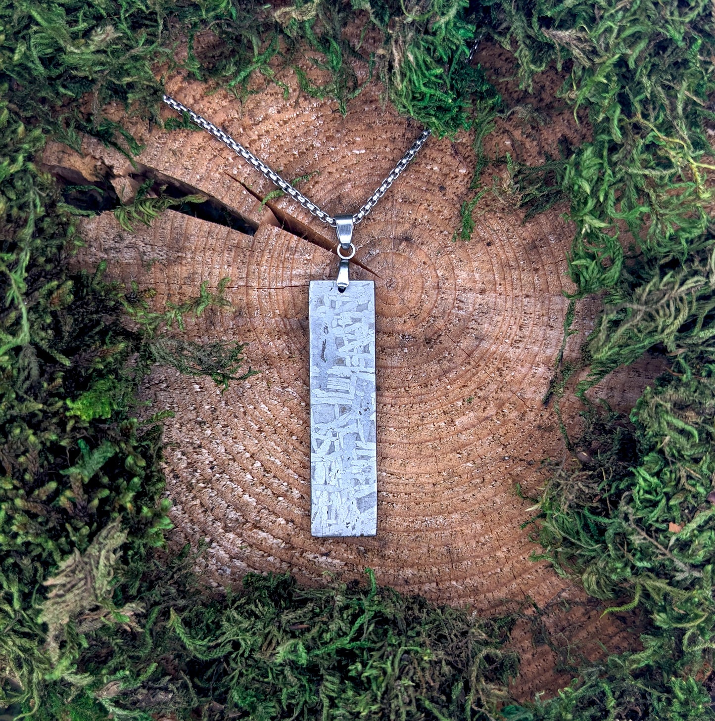 Meteorite Pendant, Long Rectangle