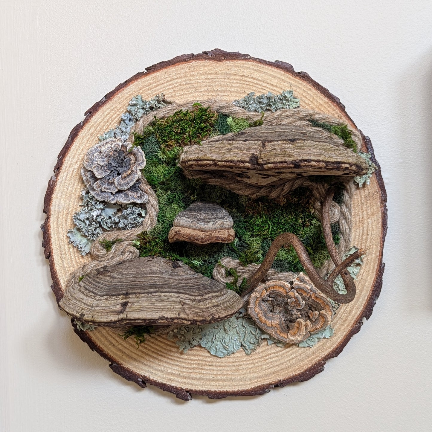 Forest Wall Wood Cookie