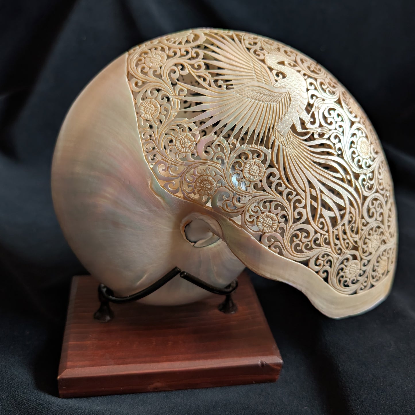 Carved Nautilus Shell