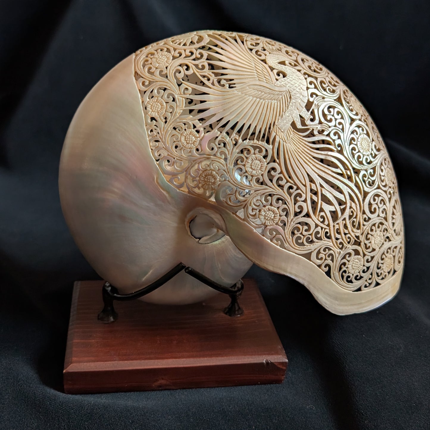Carved Nautilus Shell