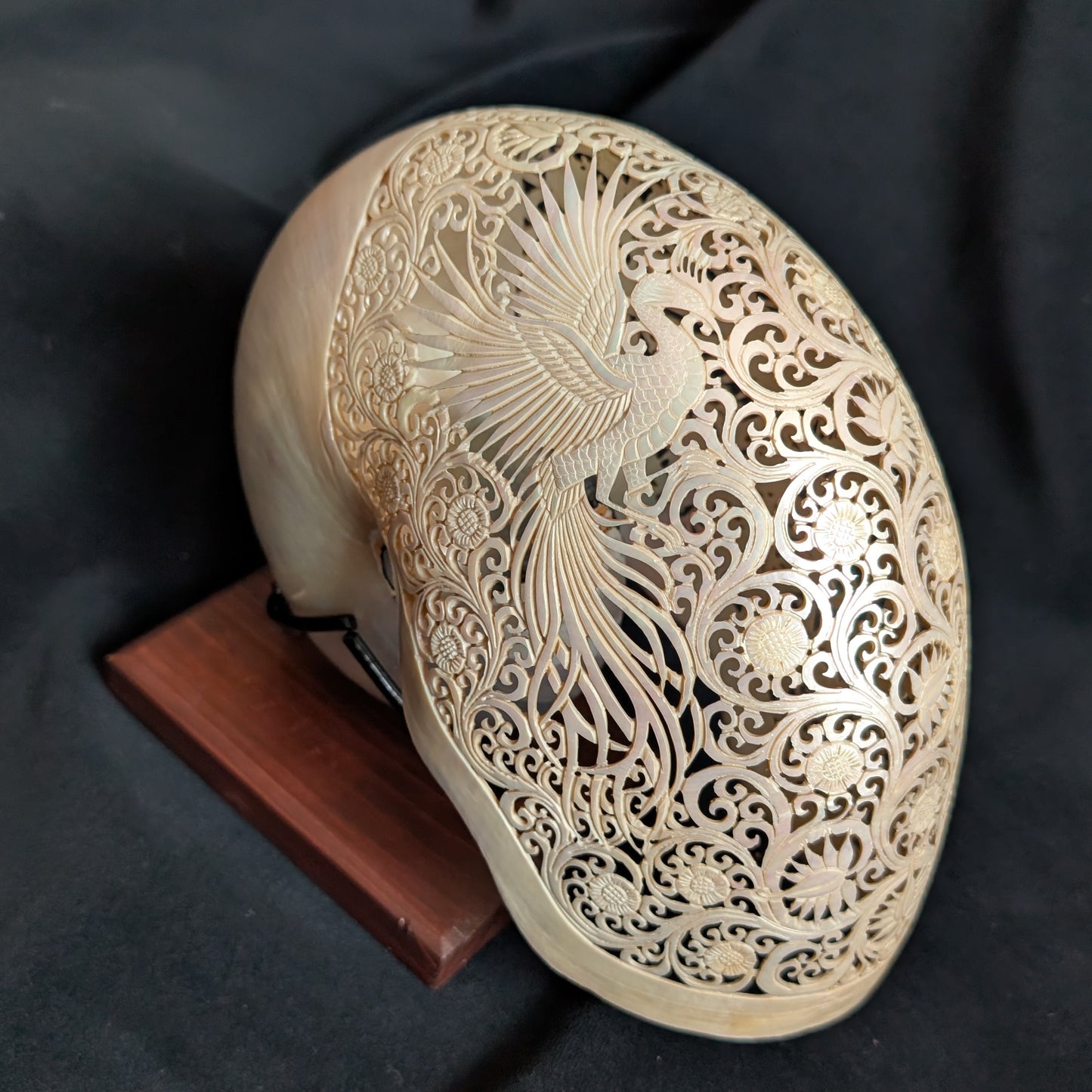 Carved Nautilus Shell
