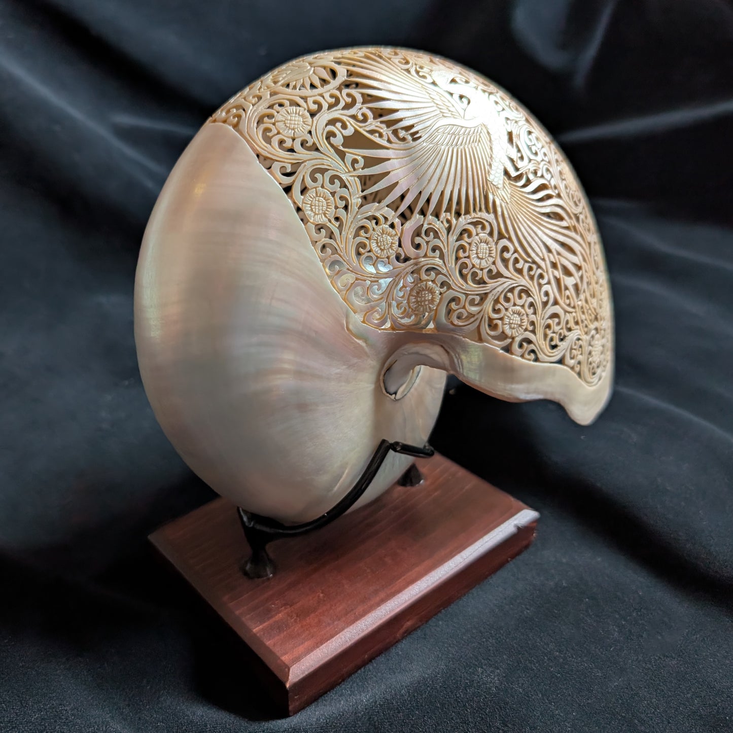 Carved Nautilus Shell