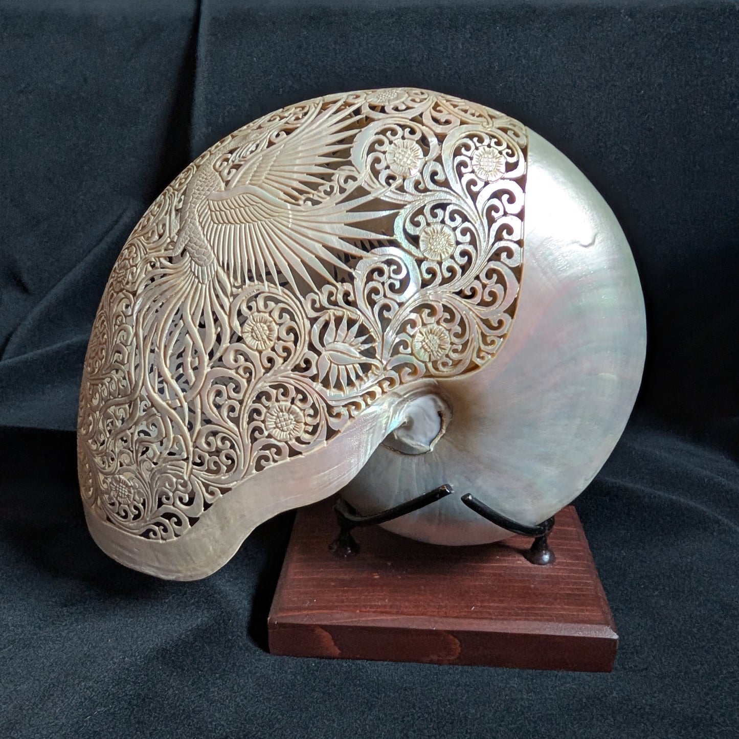 Carved Nautilus Shell