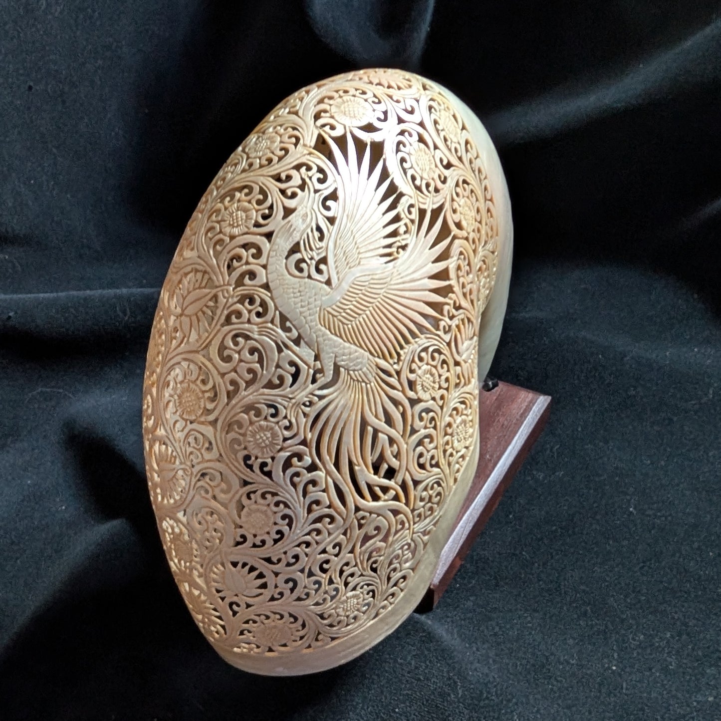Carved Nautilus Shell