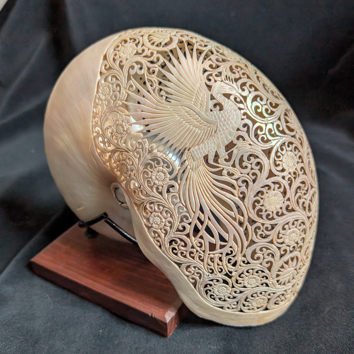 Carved Nautilus Shell