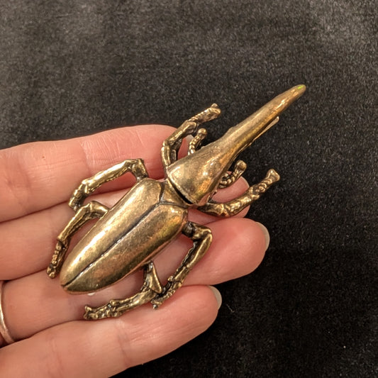 Brass Hercules Beetle