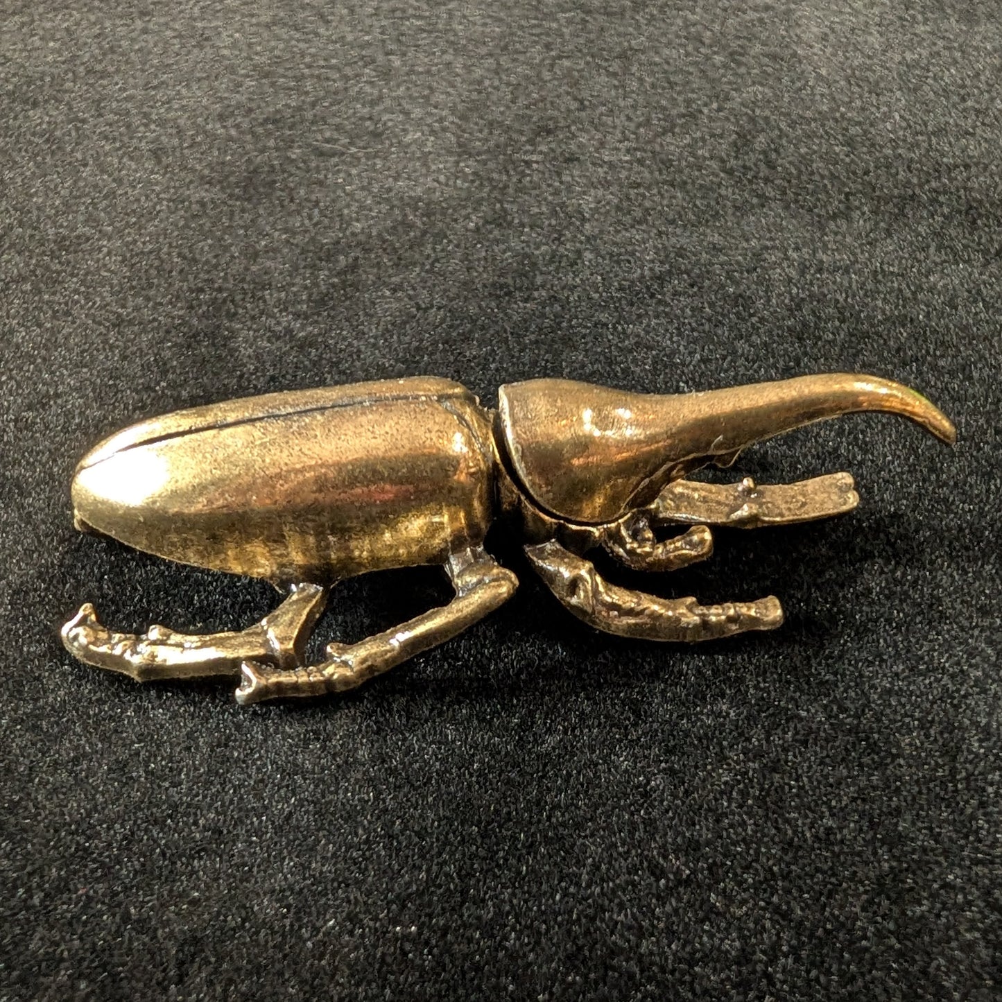 Brass Hercules Beetle