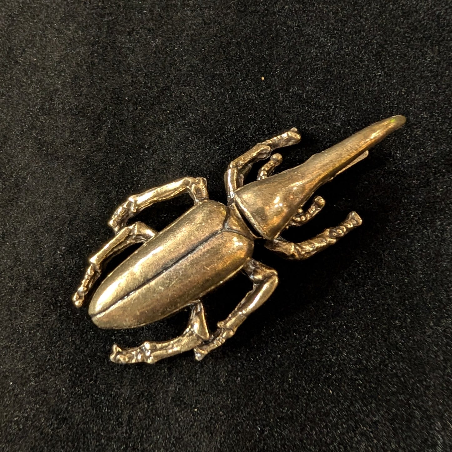 Brass Hercules Beetle
