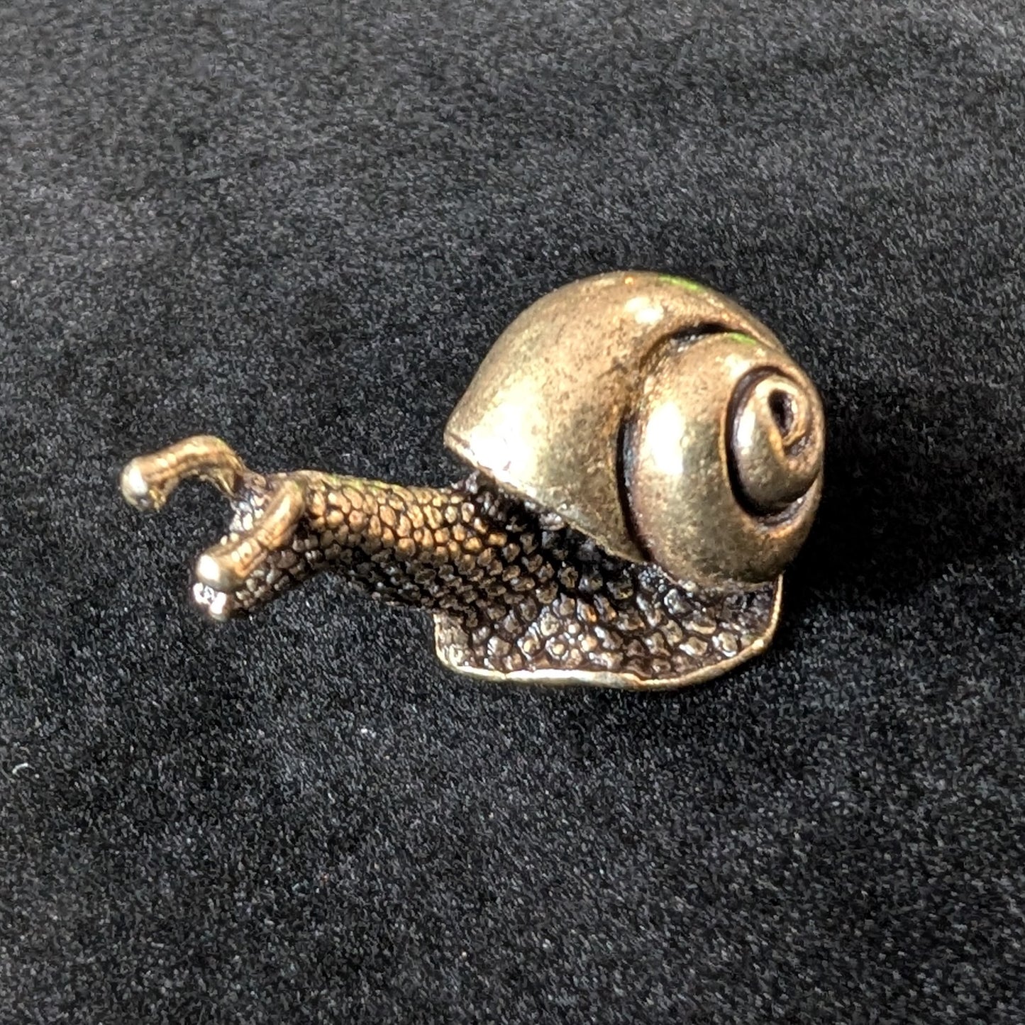 Brass Garden Snail, Large Shell