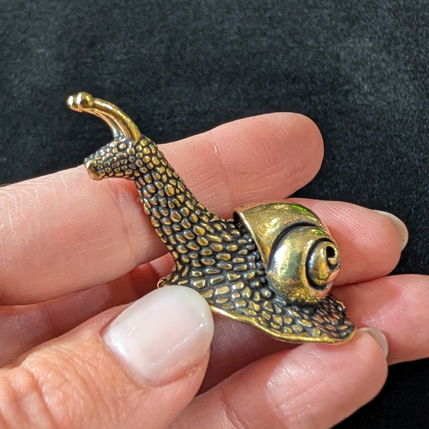 Brass Garden Snail, Medium Shell