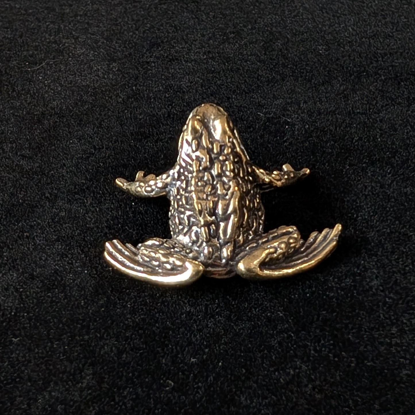 Brass Frog
