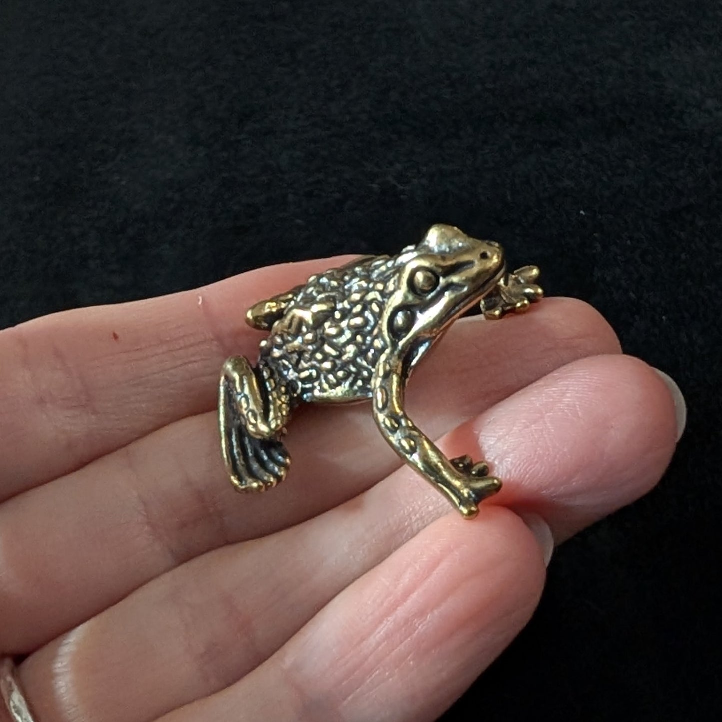 Brass Frog