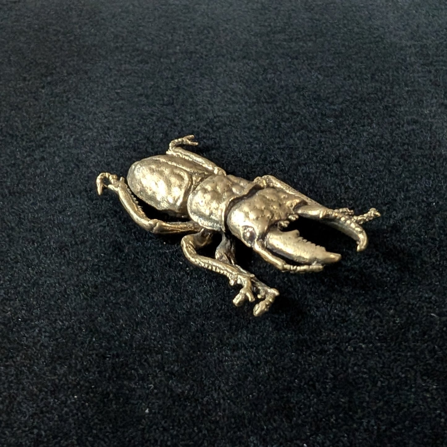Brass Stag Beetle