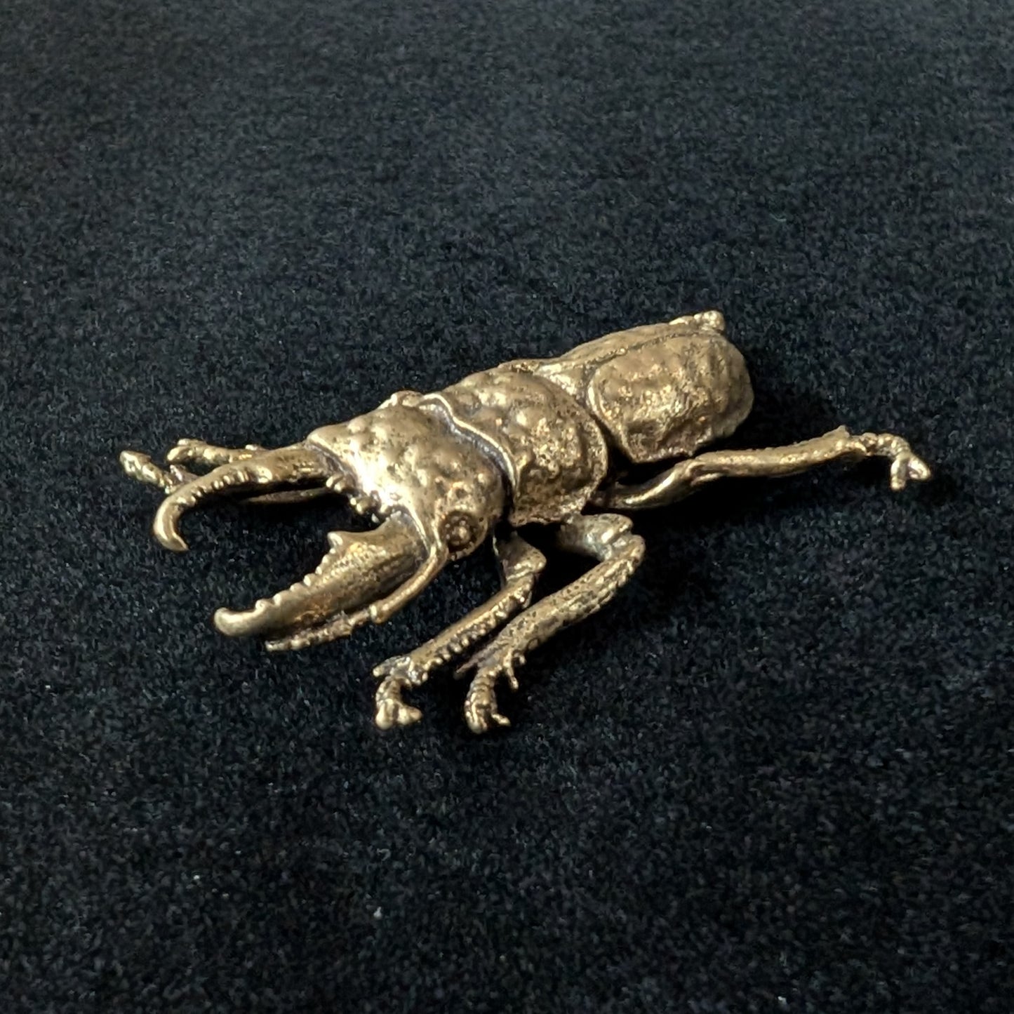 Brass Stag Beetle