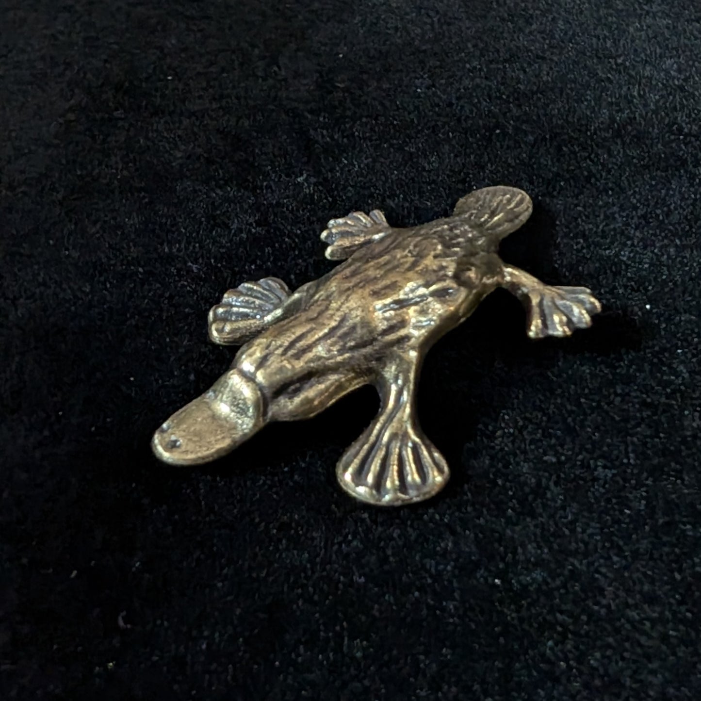 Brass Platypus