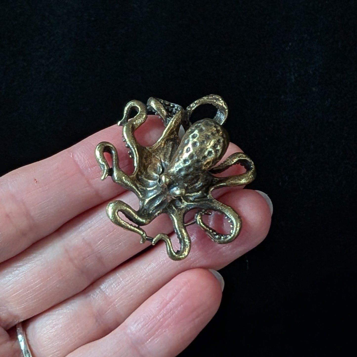 Brass Octopus