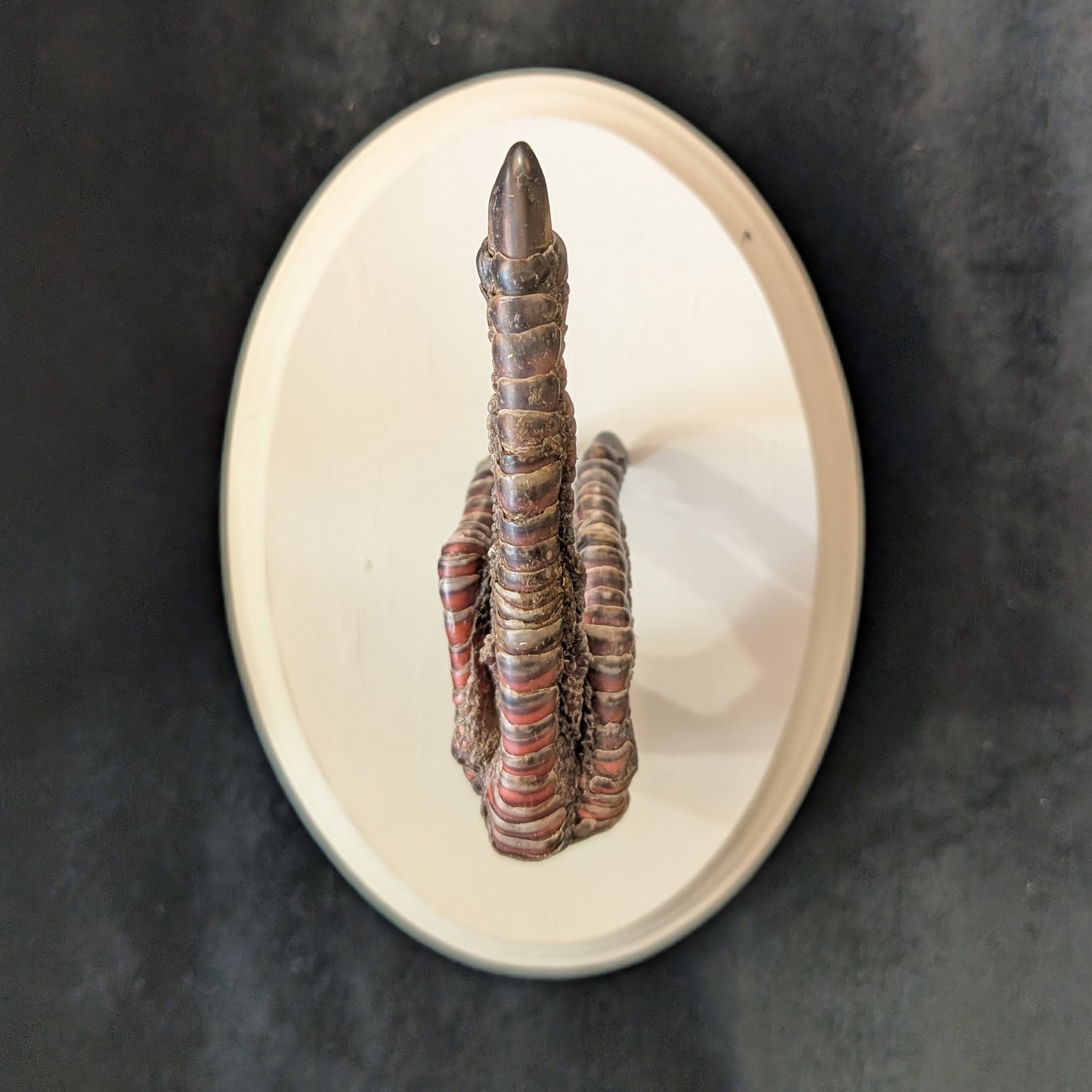 Middle Finger Turkey Claw Plaque