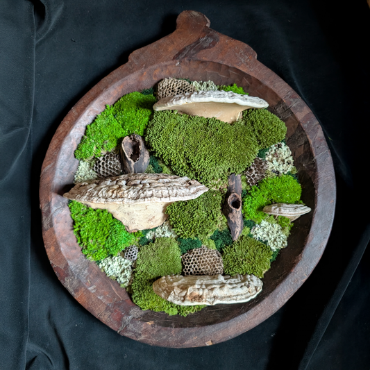 XL Forest Fungi Wall Plaque