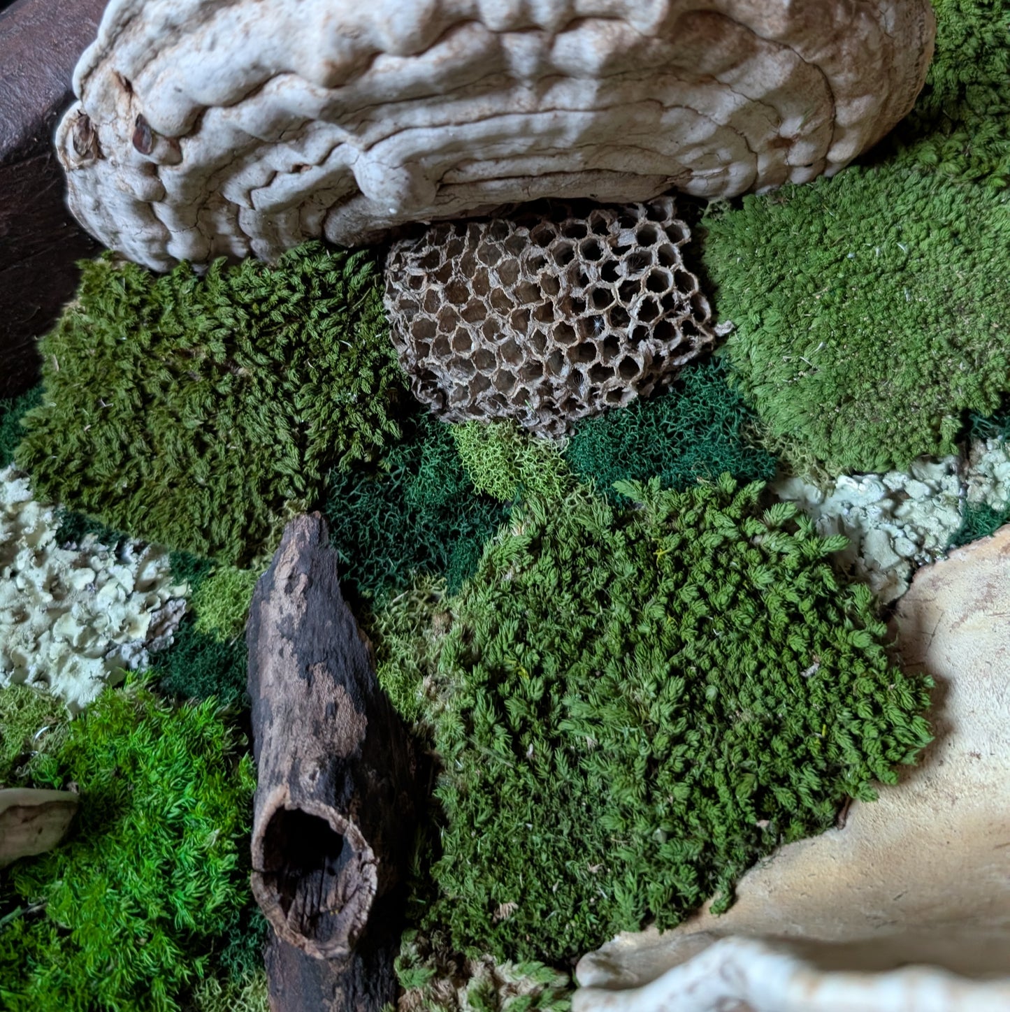 XL Forest Fungi Wall Plaque