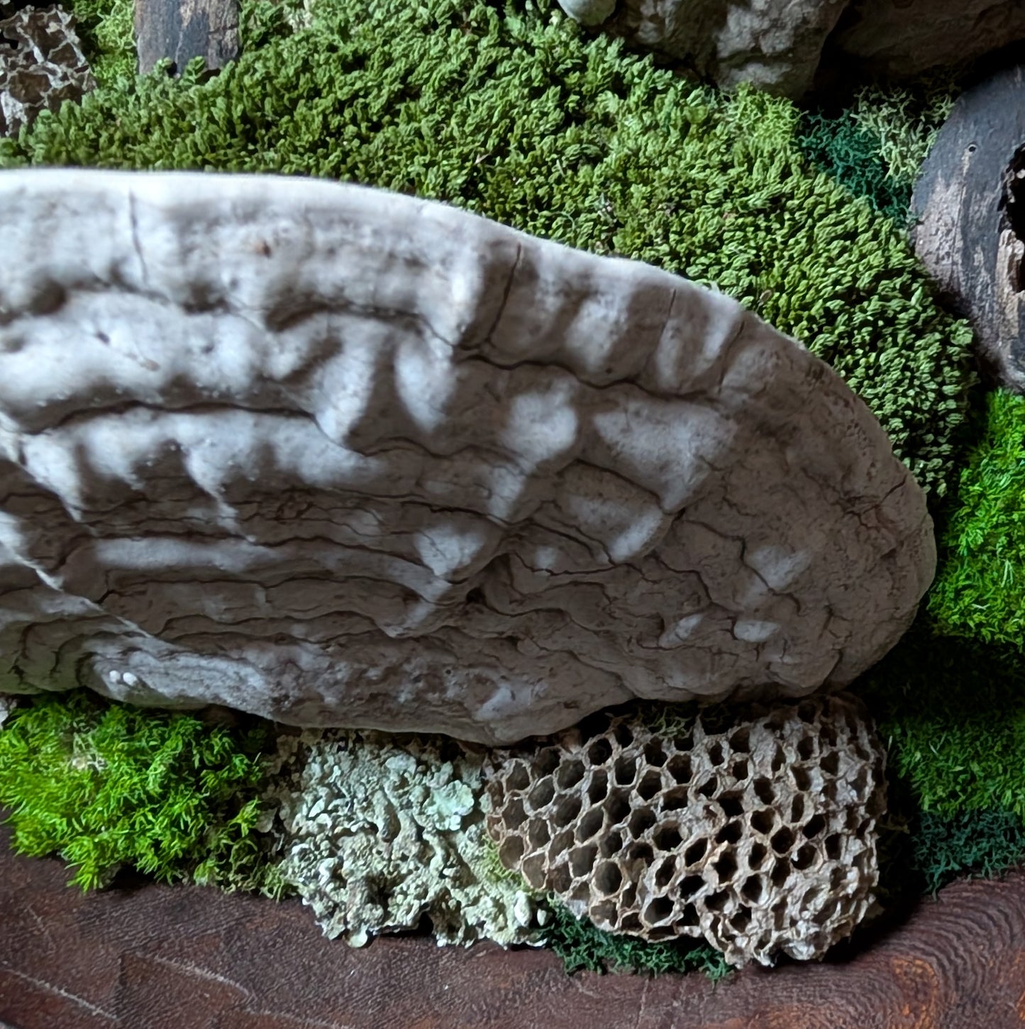 XL Forest Fungi Wall Plaque