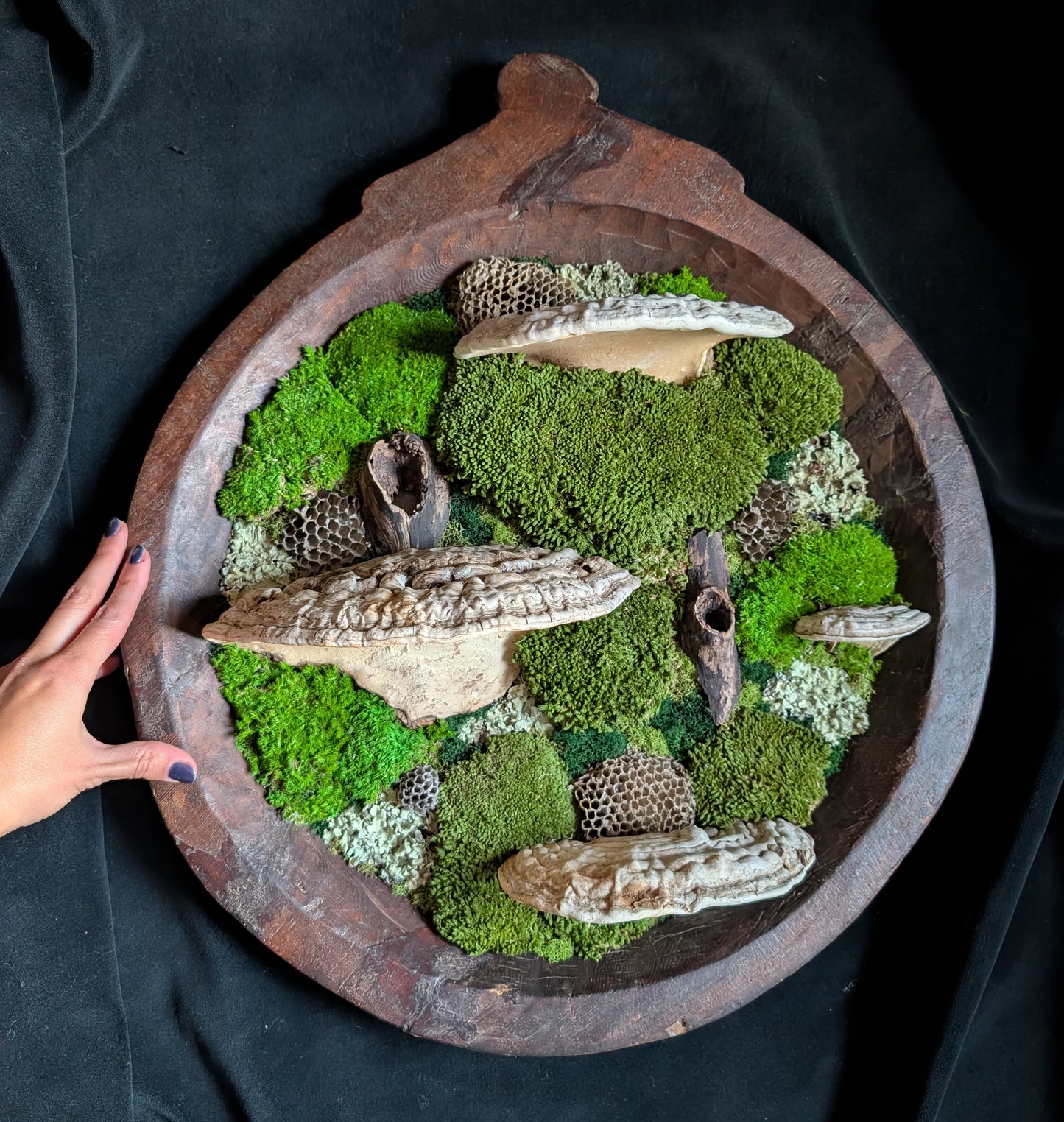 XL Forest Fungi Wall Plaque