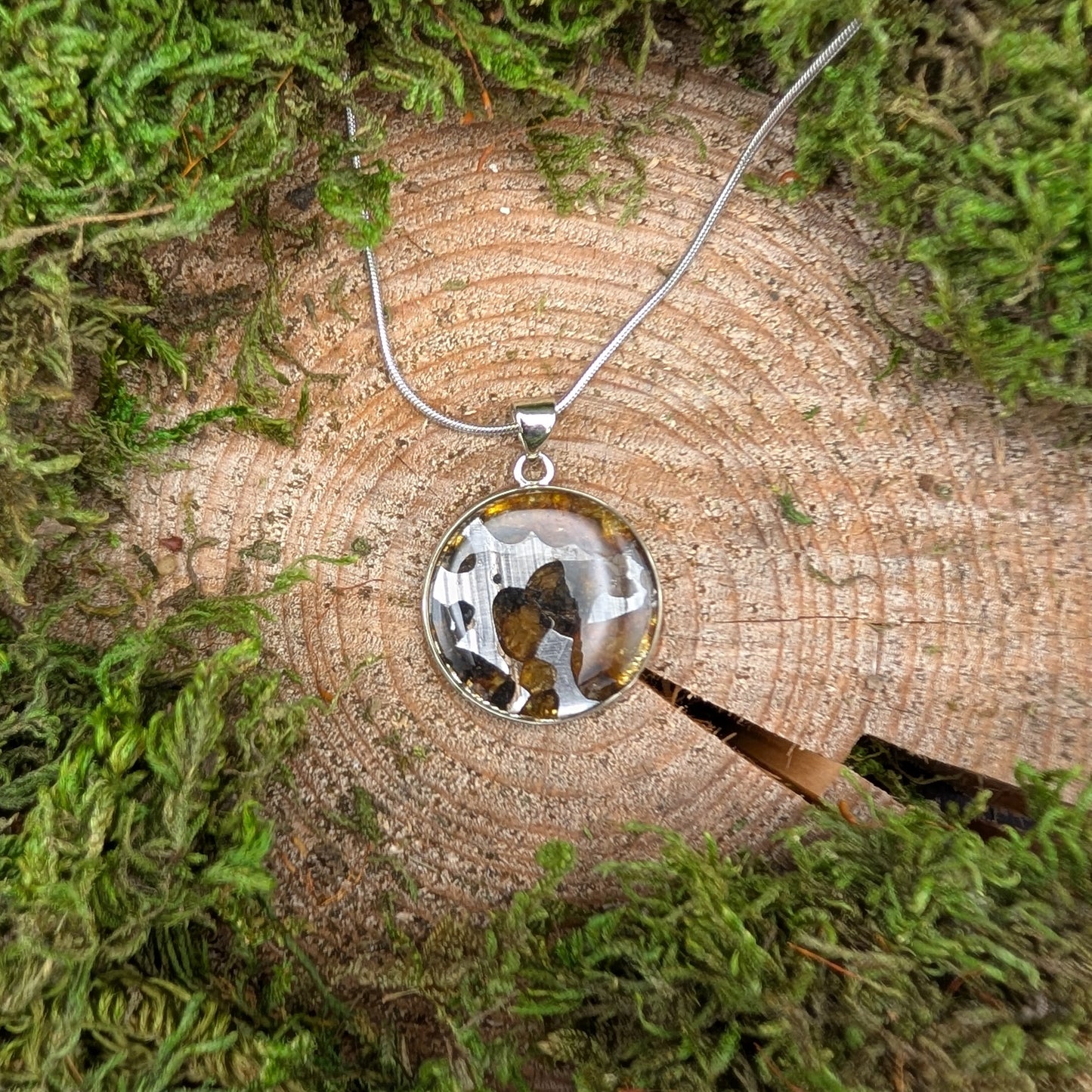 Seymchan Pallasite Meteorite Pendant, Circular