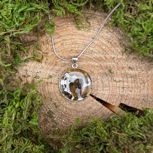 Seymchan Pallasite Meteorite Pendant, Circular