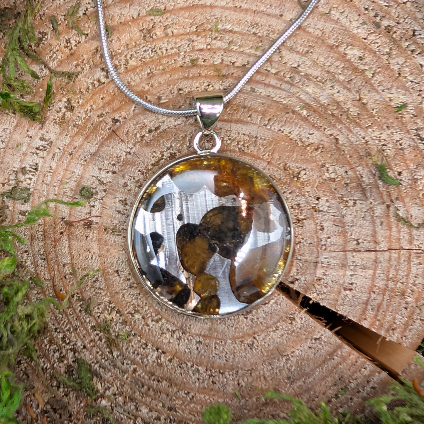 Seymchan Pallasite Meteorite Pendant, Circular
