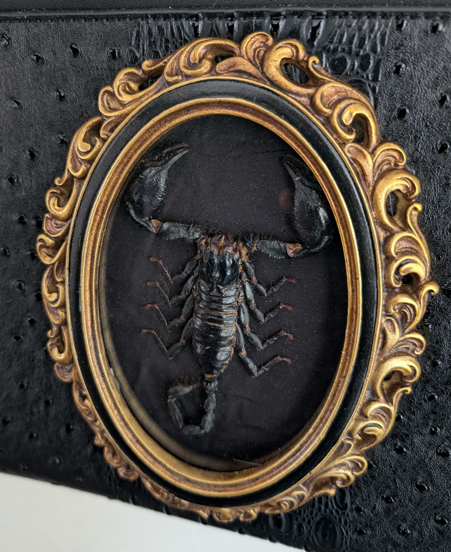 Real Scorpion Handbag