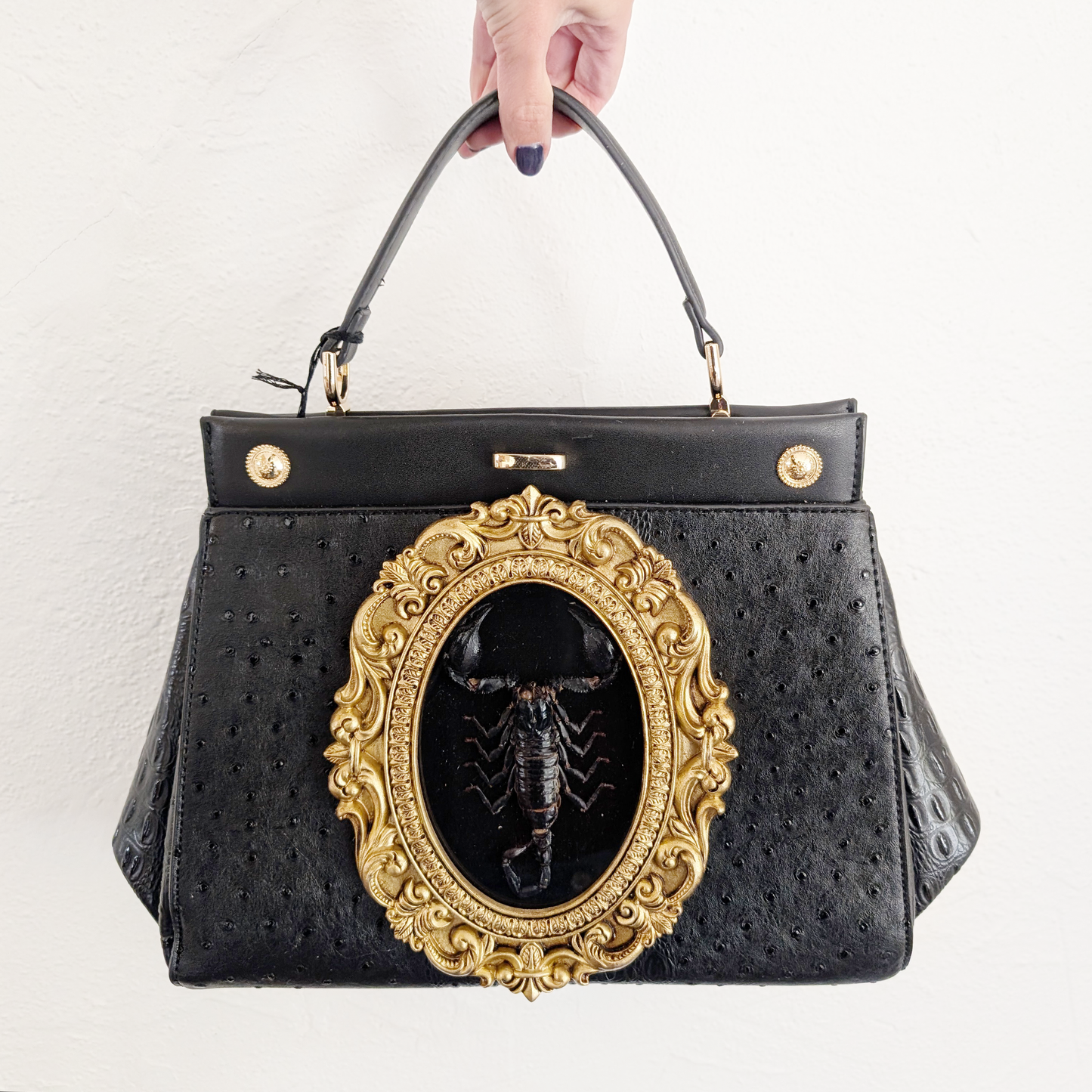 Real Scorpion Handbag