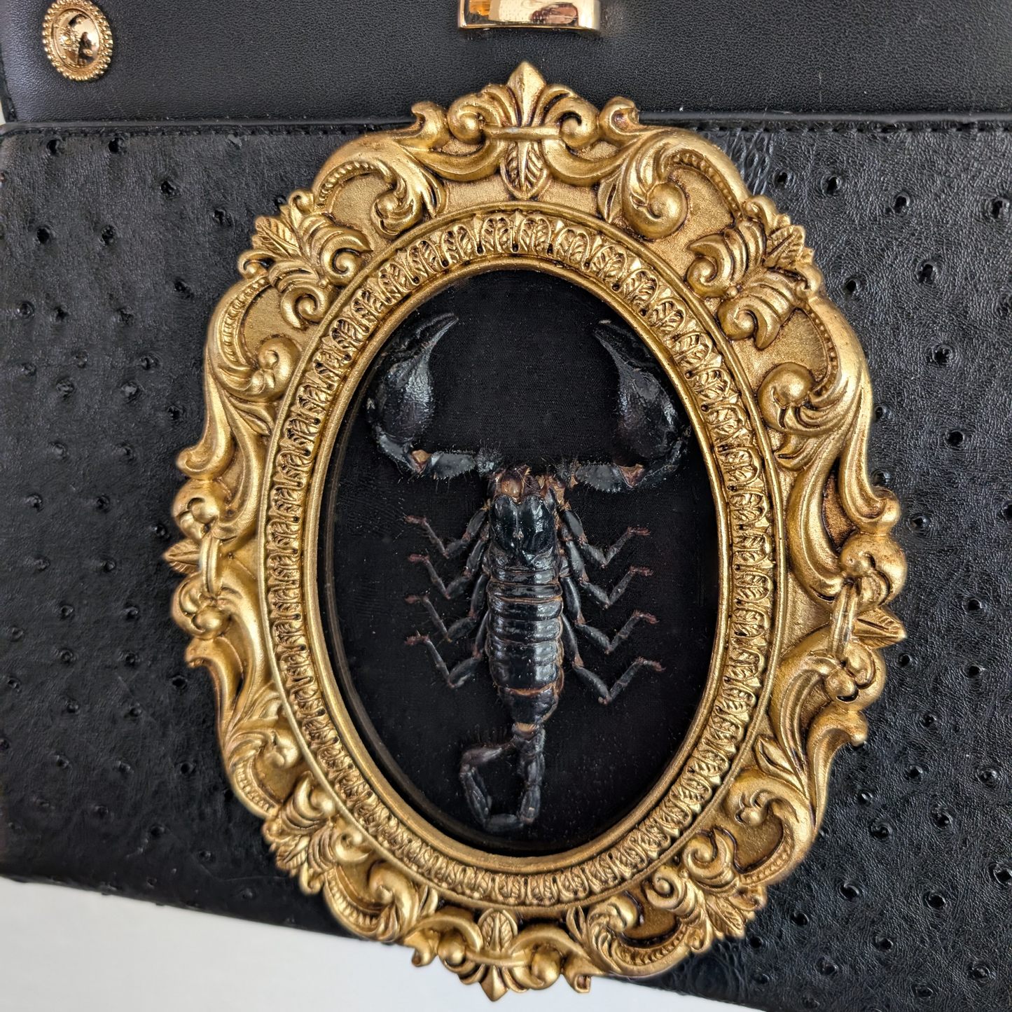 Real Scorpion Handbag