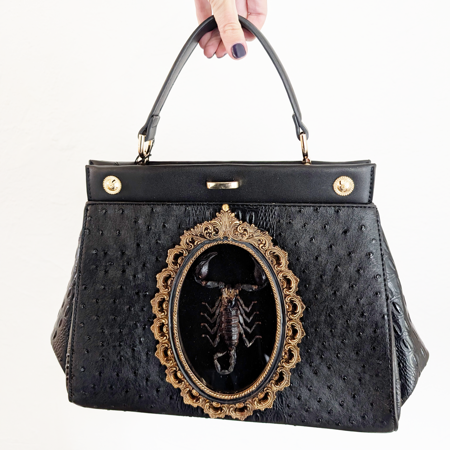 Real Scorpion Handbag (Grade C specimen)