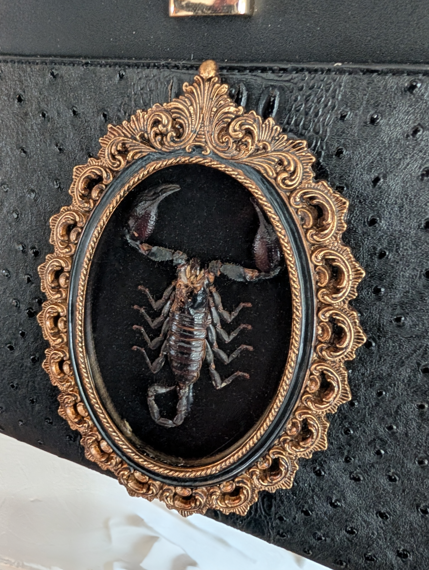 Real Scorpion Handbag (Grade C specimen)