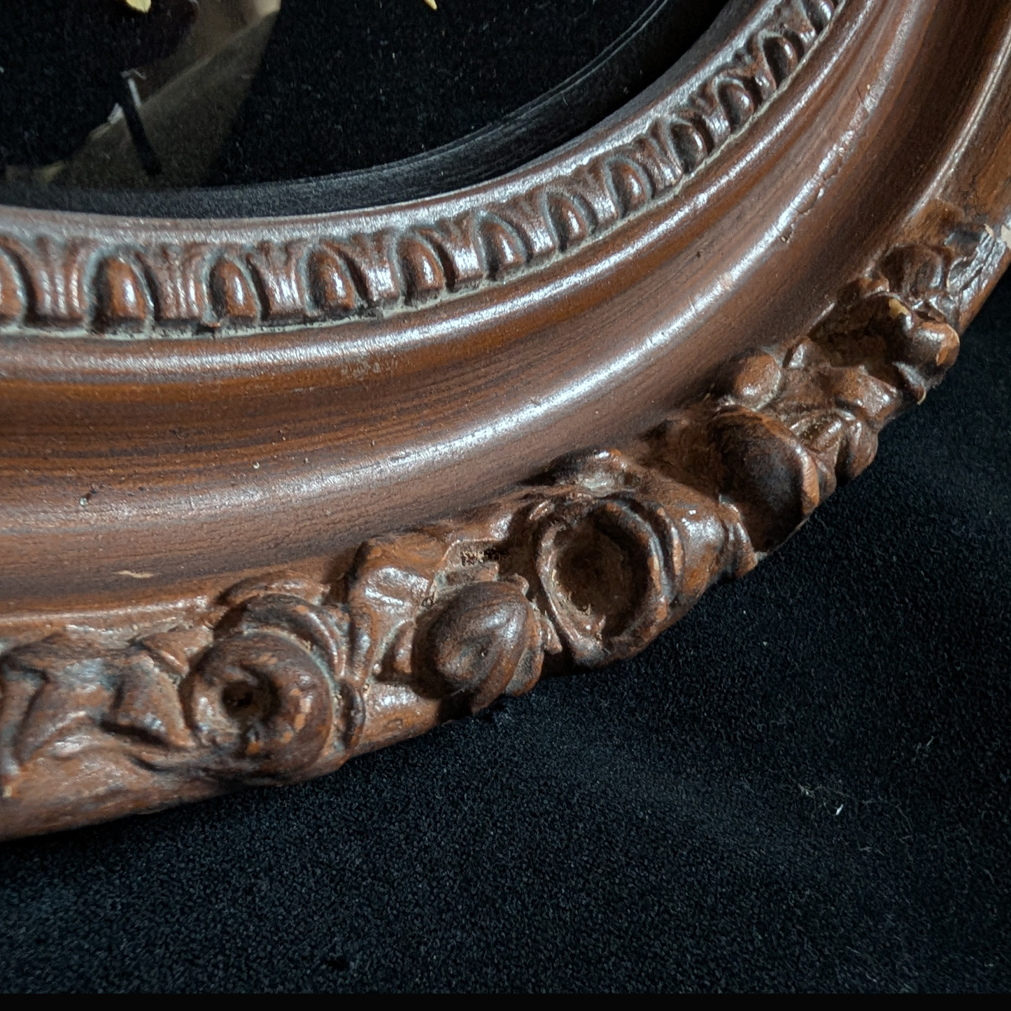 Luna Moth in Ornate Wood Frame