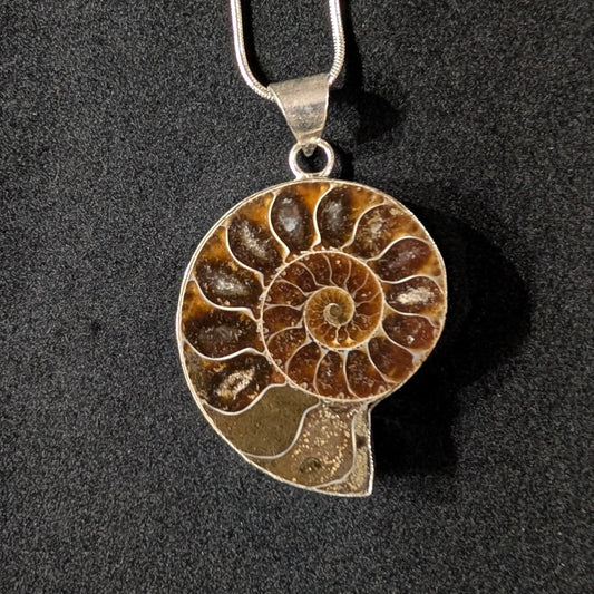 Ammonite Pendant