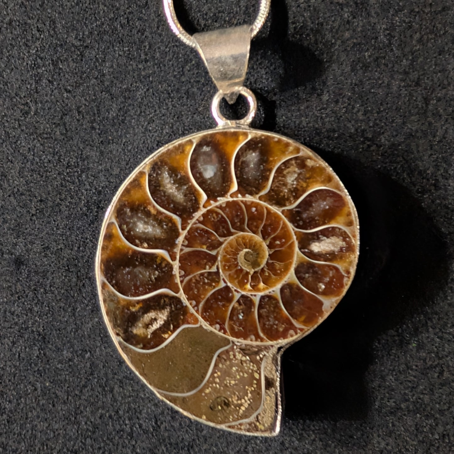 Ammonite Pendant
