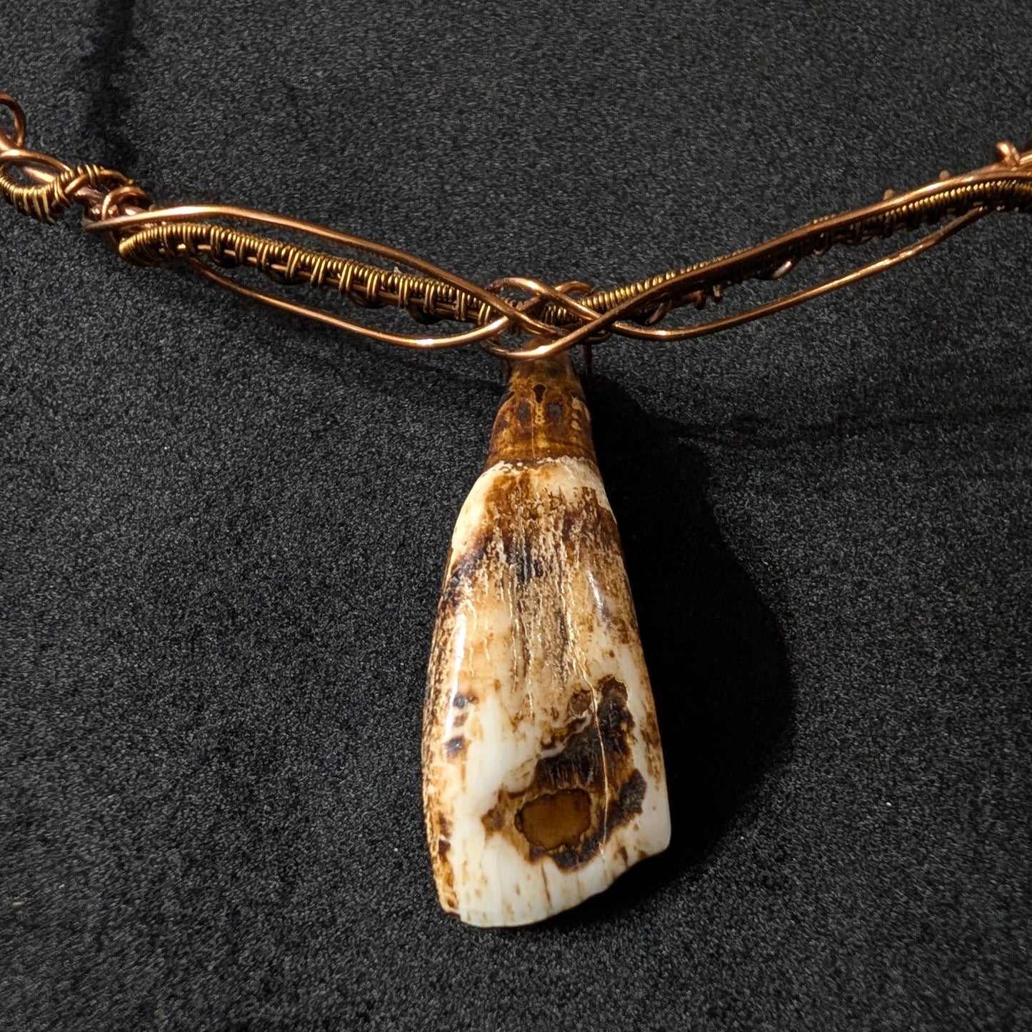 Buffalo Tooth Wirework Necklace