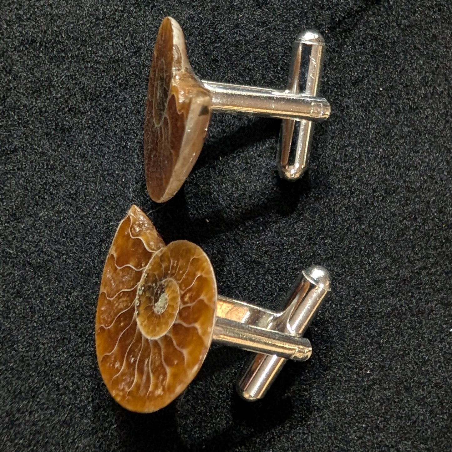 Ammonite cufflinks