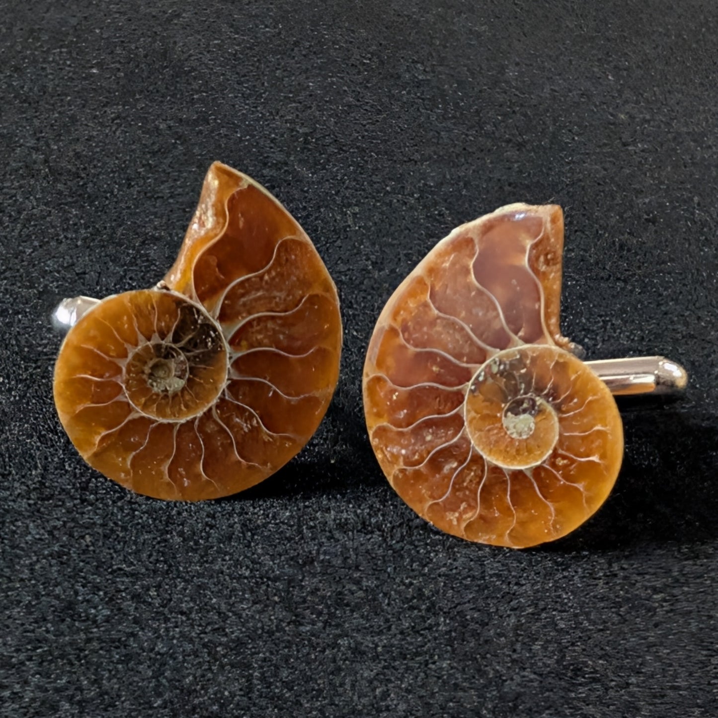 Ammonite cufflinks