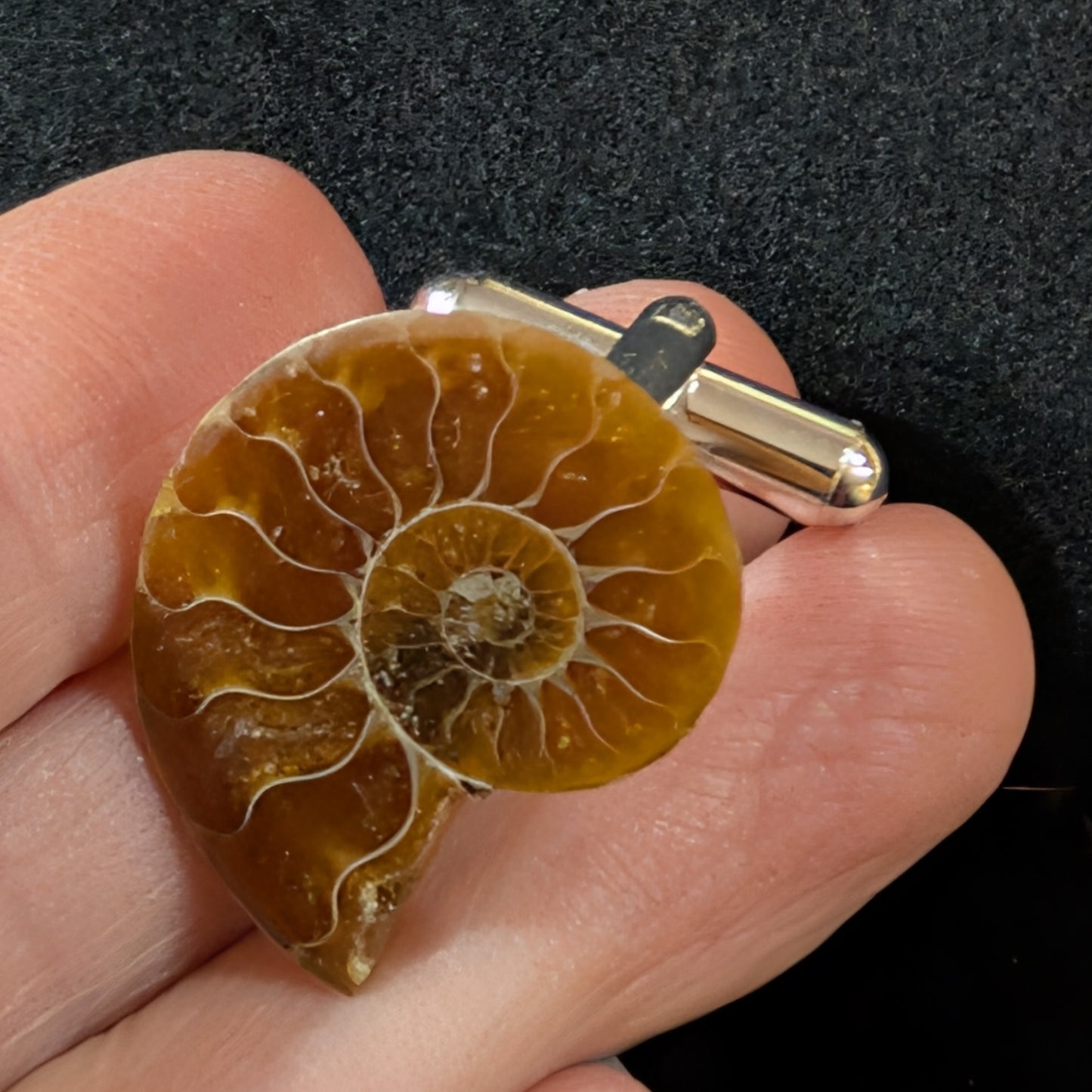 Ammonite cufflinks
