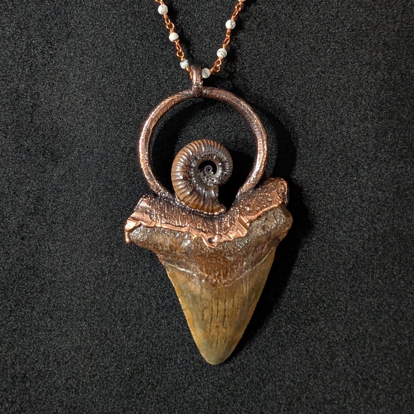 Megalodon Tooth and Ammonite Pendant