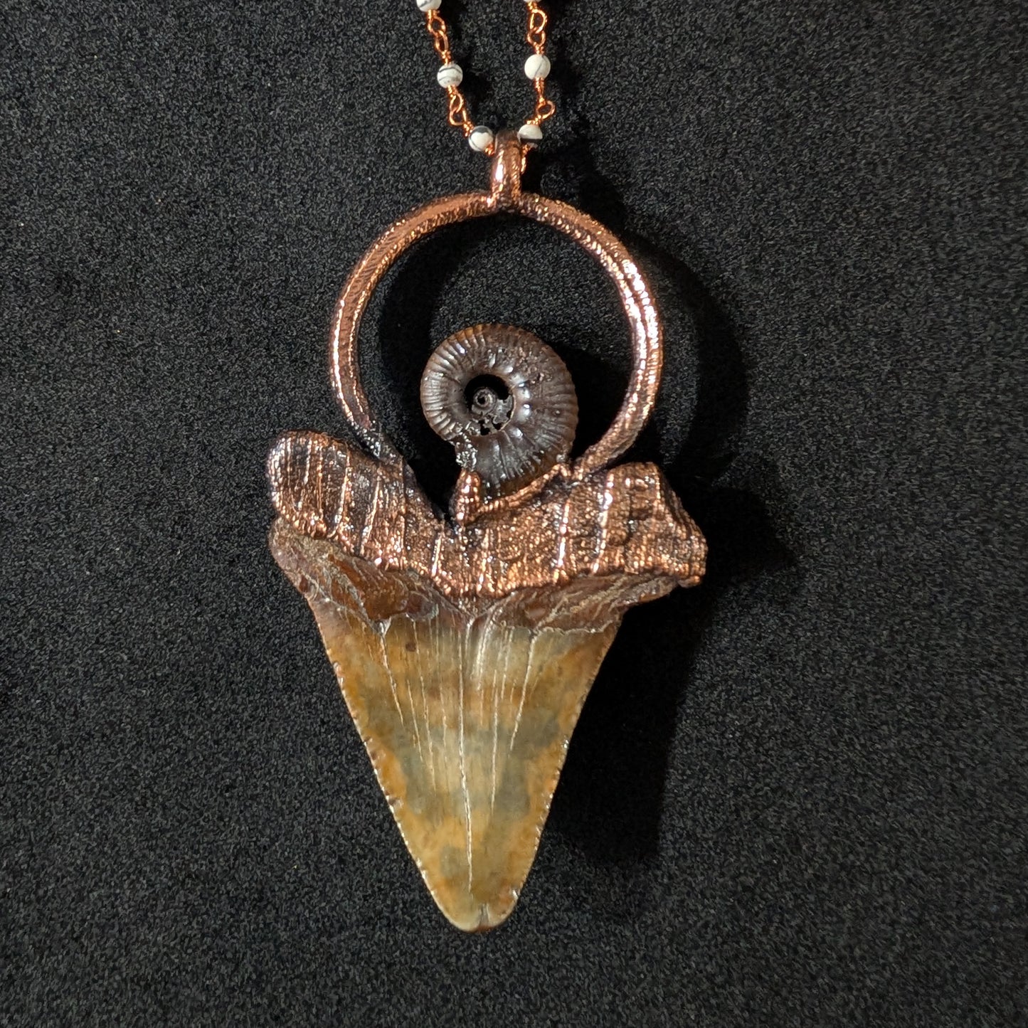 Megalodon Tooth and Ammonite Pendant