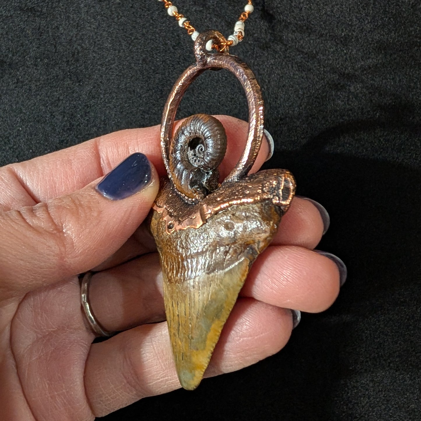 Megalodon Tooth and Ammonite Pendant
