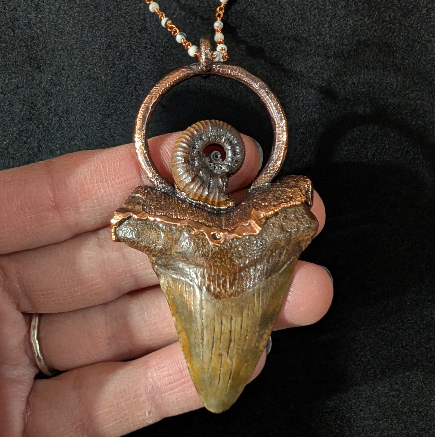 Megalodon Tooth and Ammonite Pendant