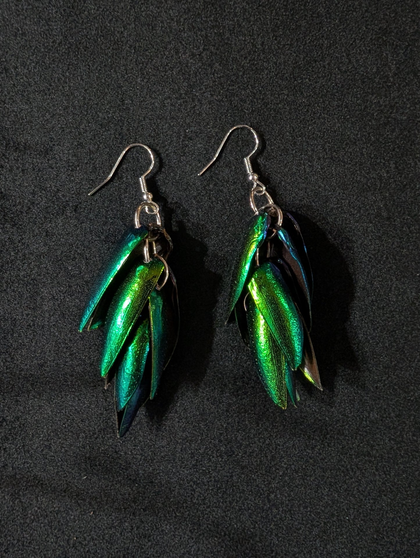 Jewel Beetle Wing Earrings